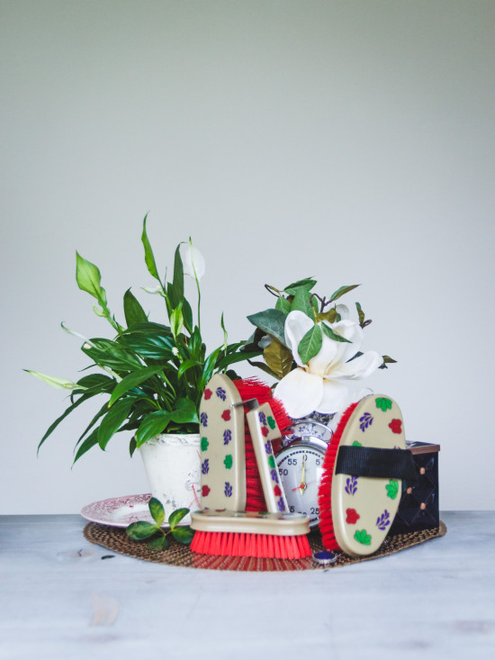 1644 HB brabants bont set borstels 