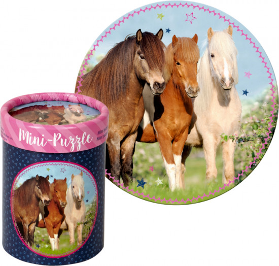 P-24 paardenvriend Mini Puzzels