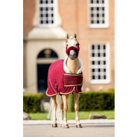 Polar 400 Dutch Crown