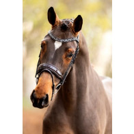 Hoofdstel Showtime Great Escape