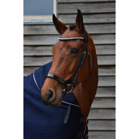 Hoofdstel Showtime Freedom Shine Lakleder