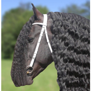 1010 HB Voorbreng hoofdstel de luxe