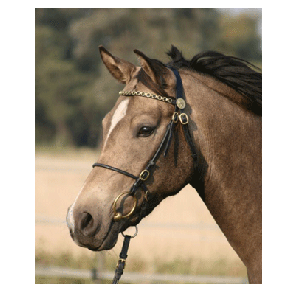 1011 HB Luxe Voorbrenghoofdstel Pony