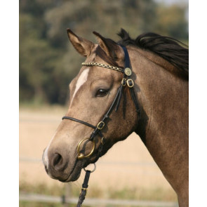 1011 HB Luxe Voorbrenghoofdstel Zwart