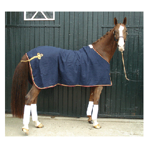 1203 HB Luxe Wollen Statiedeken Blauw met bordeaux bies 175cm