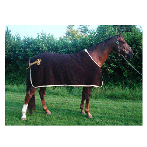 1203 HB Luxe Wollen Statiedeken Bruin met beige bies 215cm