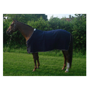 1204 HB Wollen Statiedeken Grand Canyon Blauw 165cm