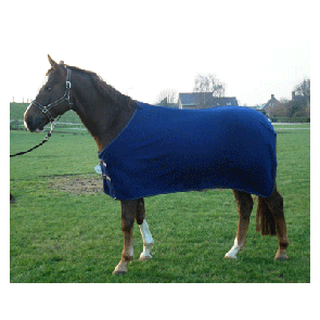 1309 HB Fleece Statiedeken Blauw 165cm
