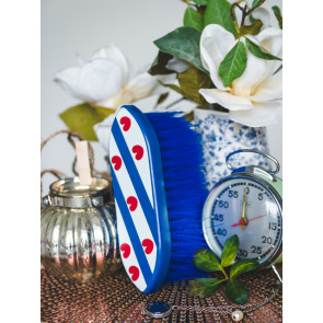 1643Fr HB Friese vlag dandy brush