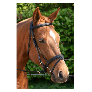 301 HB Hoofdstel Basic Zwart Mini Mini Shetland