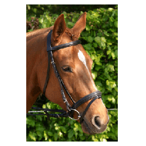 302 HB Hoofdstel Basic Zwart RVS Pony