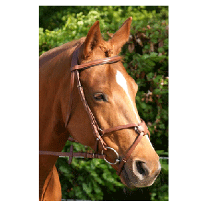 306 HB Hoofdstel Mexicaans RVS Zwart Pony