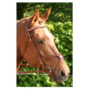 307 HB Hoofdstel Mexicaans Gold Plated Zwart Pony