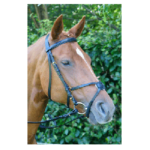 307 HB Hoofdstel Mexicaans Gold Plated