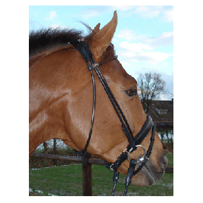 311 HB Hoofdstel Turijn RVS Zwart Pony