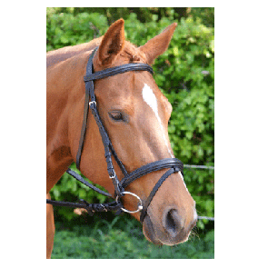 313 HB Luxe Hoofdstel Zwart pony