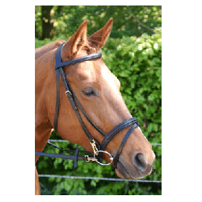 315 HB Hoofdstel Milano Zwart Pony