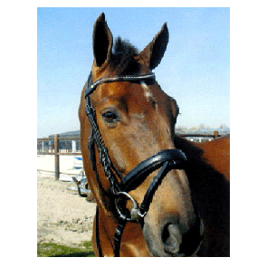 324 HB Hoofdstel Wave