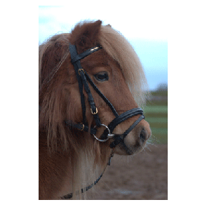 325 HB Hoofdstel Koper Shetland