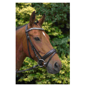 327 HB Hoofdstel Brick Chain