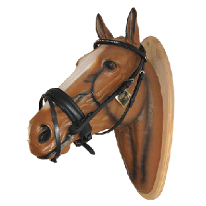 329 Hoofdstel Kentucky Pony