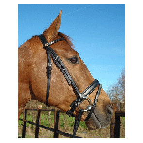 332 HB Hoofdstel Lissabon Chocoladebruin met bruin onderlegd Full