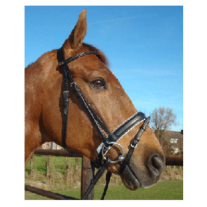333 HB Hoofdstel Barcelona Zwart met wit onderlegd Cob