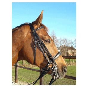 334 HB Hoofdstel Miami Zwart Full