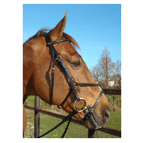 335 HB Hoofdstel Hong Kong Zwart Pony