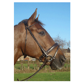 338 HB Hoofdstel Glasgow Zwart Full