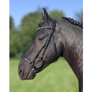 Hoofdstel Showtime drop noseband