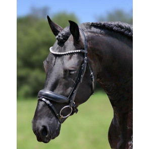 387 HB Showtime Hoofdstel Luxery Cob