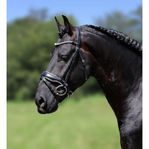 388 HB Showtime Hoofdstel Grandprix Cob