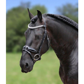 389 HB Showtime Hoofdstel Jan van Westerhuis Cob