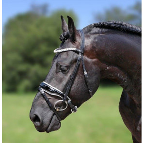 390 HB Showtime Hoofdstel Glamerdale Full