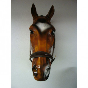 420 HB Africhtingsneusriem Bruin Pony