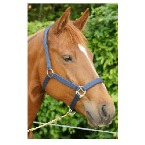 708 HB Nylon Halster Neopreen Blauw Full