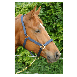 711 HB Nylon Halster Neopreen Zwart Full