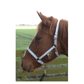718 HB Luxe Lederen Halster Wit Pony