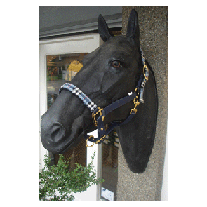 719 HB Nylon Halster Special Edition Blauw/Zwart Pony