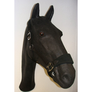 734 HB Bellwood Halster Pink Shetland