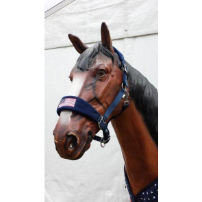 736 HB halster Bellwood going to America Pony