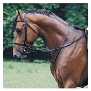 910 HB Thiedemann Teugel Zwart Full