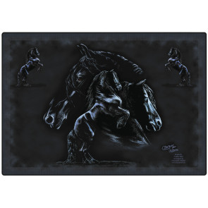 B-31 Friesche Placemat 