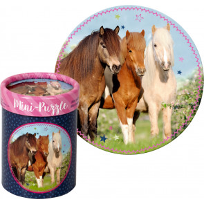 P-24 paardenvriend Mini Puzzels