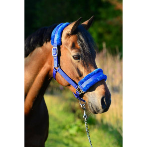 733 HB Halster Teddy